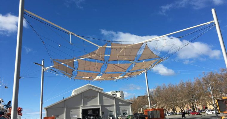 All That Taz – First Day in Hobart