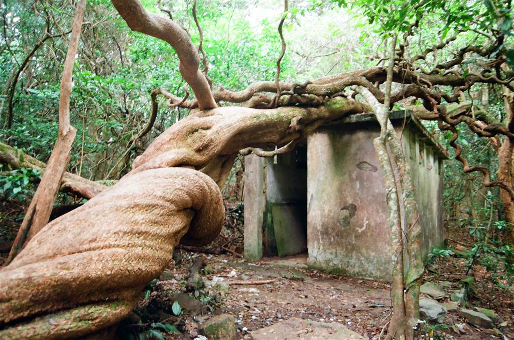 The Giant Twines of Mau Ping (Via Pak Kong)