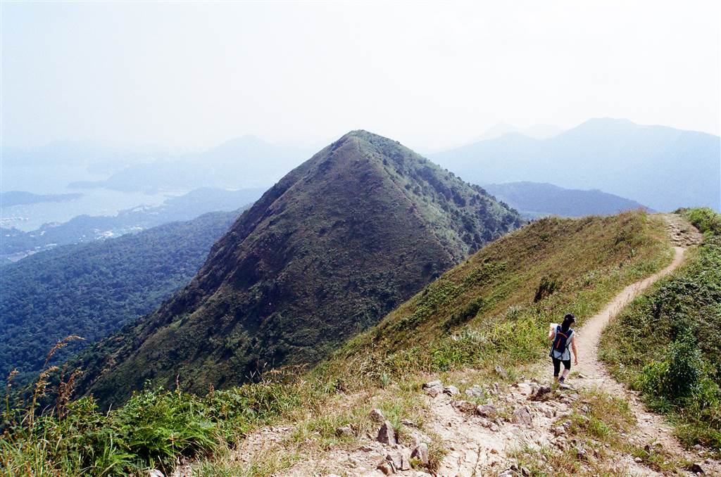 Curvy Hill – MacLehose Trail Section 4 From Shui Long Wo to Ma On Shan Country Park