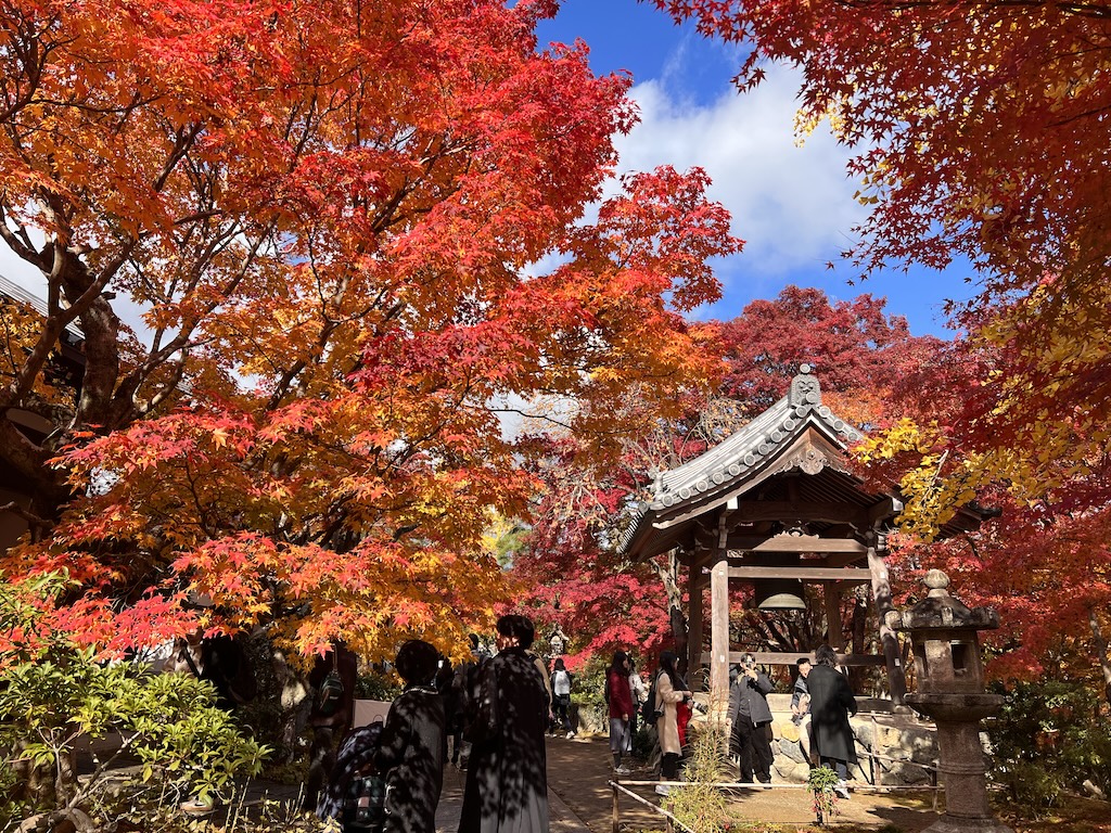 A Symphony of Colors –The Jojakko-ji Temple in Arashiyama