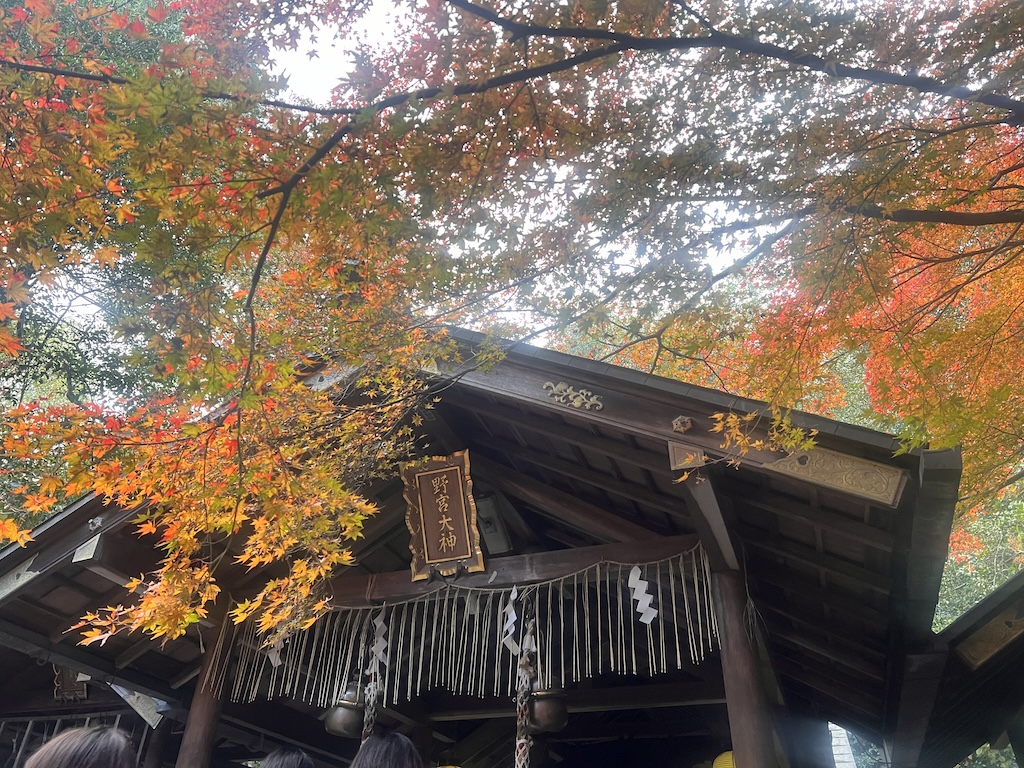 A Symphony of Colors – The Nonomiya Shrine