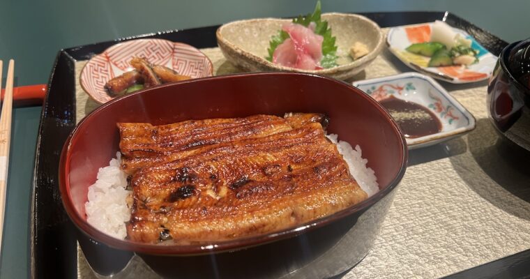 A Symphony of Colors – The Eel Specialist Unagiya Hirokawa