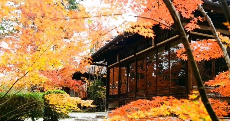 A Symphony of Colors — Surprising Delights at the Nanzen-ji Temple