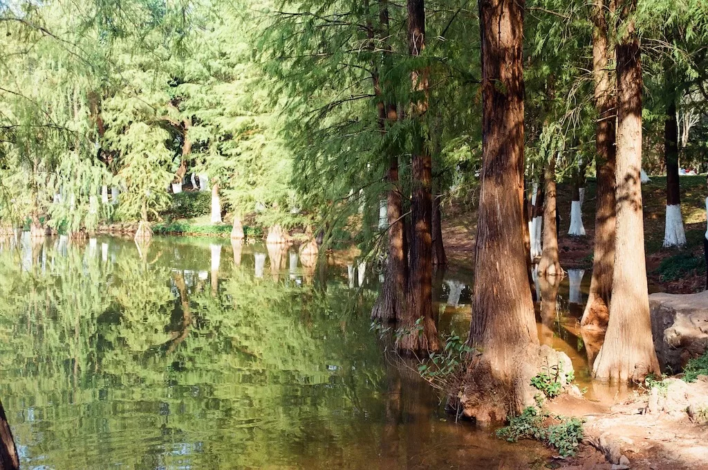 The City of Rams — The Dafushan Forest Park in Panyu