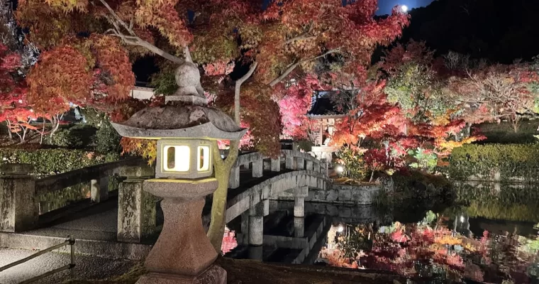 A Symphony of Colors — The Illuminating Eikando-ji Temple