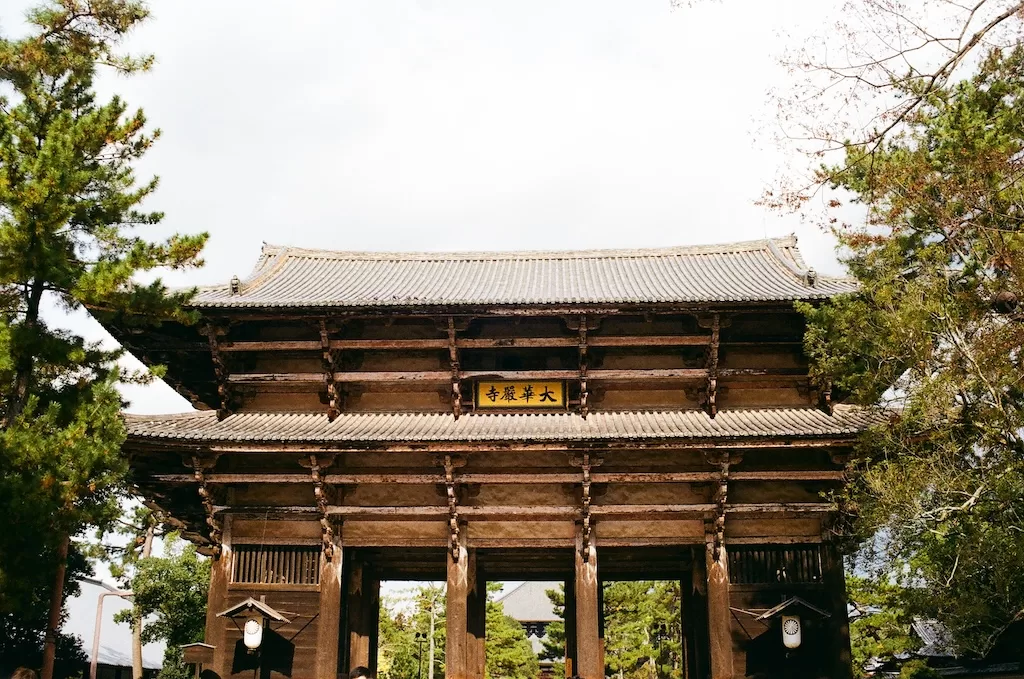 A Symphony of Colors — The Todai-ji Temple in Nara Park and Myriam Café