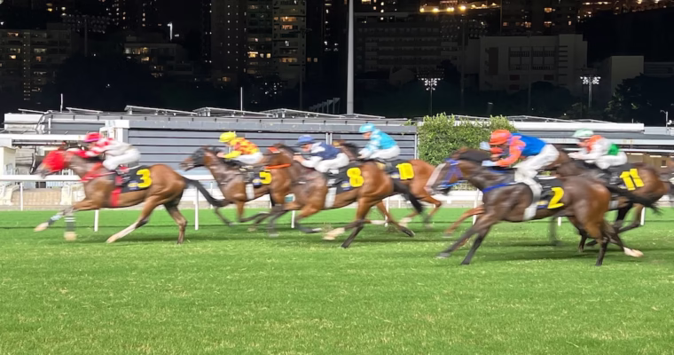 Party Vibes at the Happy Valley Racecourse