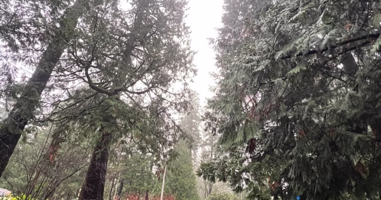 America on Foot — Lewis and Clark and the Early Exploration of Oregon Country