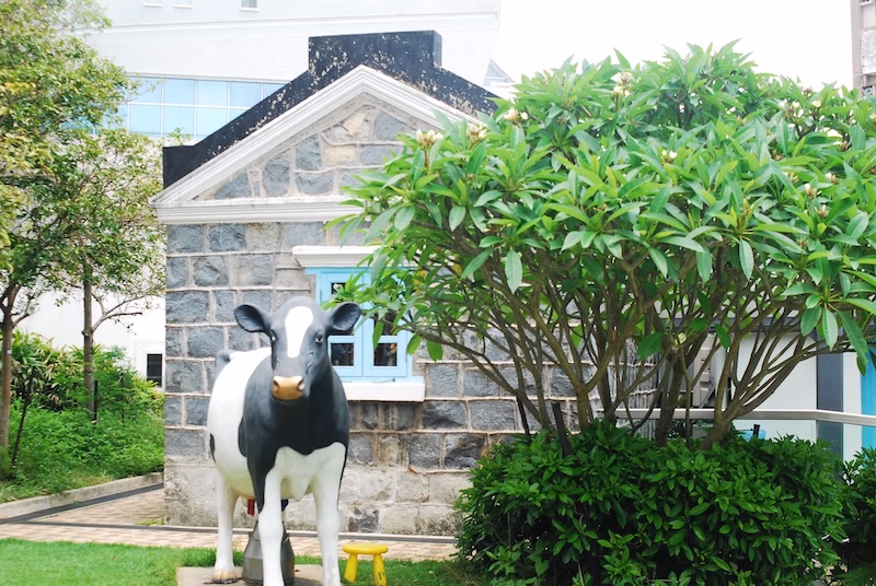 The Old Dairy Farm of Pok Fu Lam