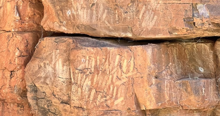 To the Outback and Back — the Macdonnell Range as One and the Bush Coconut