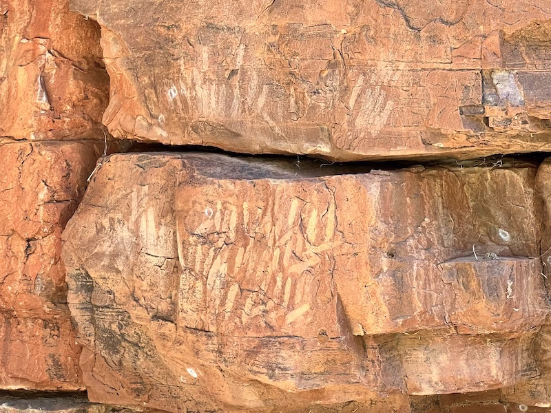 To the Outback and Back — the Macdonnell Range as One and the Bush Coconut