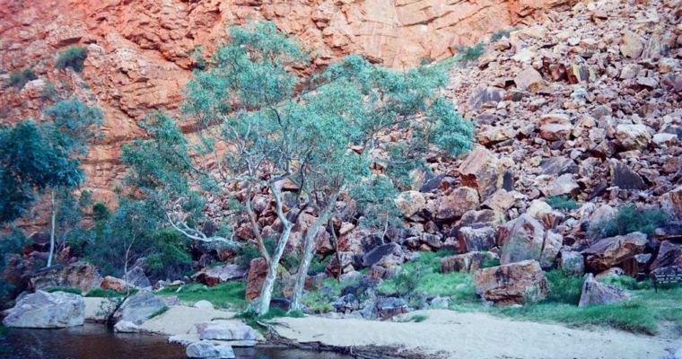 To the Outback and Back — The Wonders of West Macdonnell at Simpsons Gap